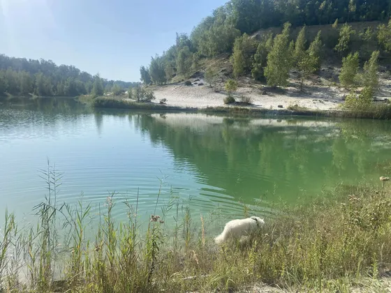 Stage Bonnesvalyn — Balade en campagne