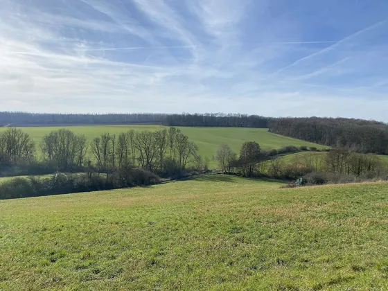 Retraite yoga — Marche en pleine nature