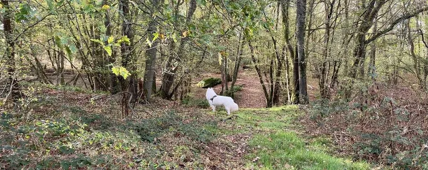 Stage yoga jeûne et randonnée — 7EQuiLibre