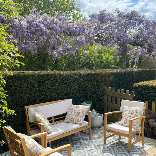 Jardin de Bonnesvalyn — Glycine en fleur